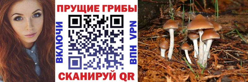 Псилоцибиновые грибы мицелий  omg рабочий сайт  Спасск 