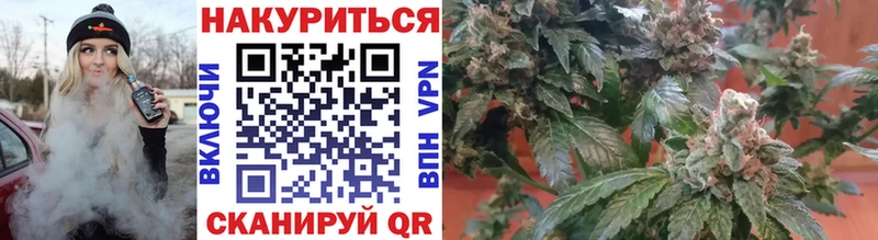 Конопля конопля Спасск